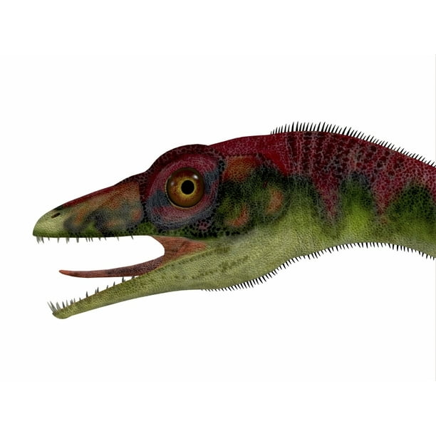 small dinosaur compsognathus