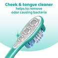 thumbnail image 5 of Colgate 360 Whole Mouth Clean Adult Manual Toothbrush, Medium, 2 Pack, 5 of 11