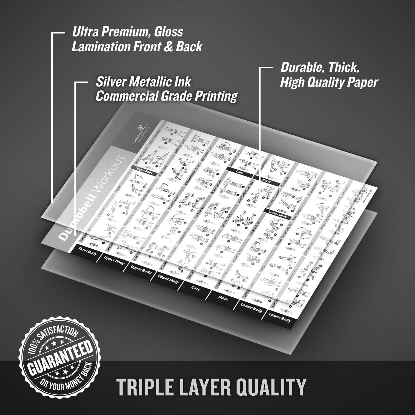 NewMe Fitness Barbell Workout Exercise Poster Laminated Home Gym Weight Lif...