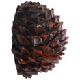 thumbnail image 2 of KAKOWELY hide home key Key Hider Outdoor Box Simulation Decorative Box For Spare Key Keys Hidden Holder Keys Hider Fake Pine Cone Shape Key Security Safe Box, 2 of 5