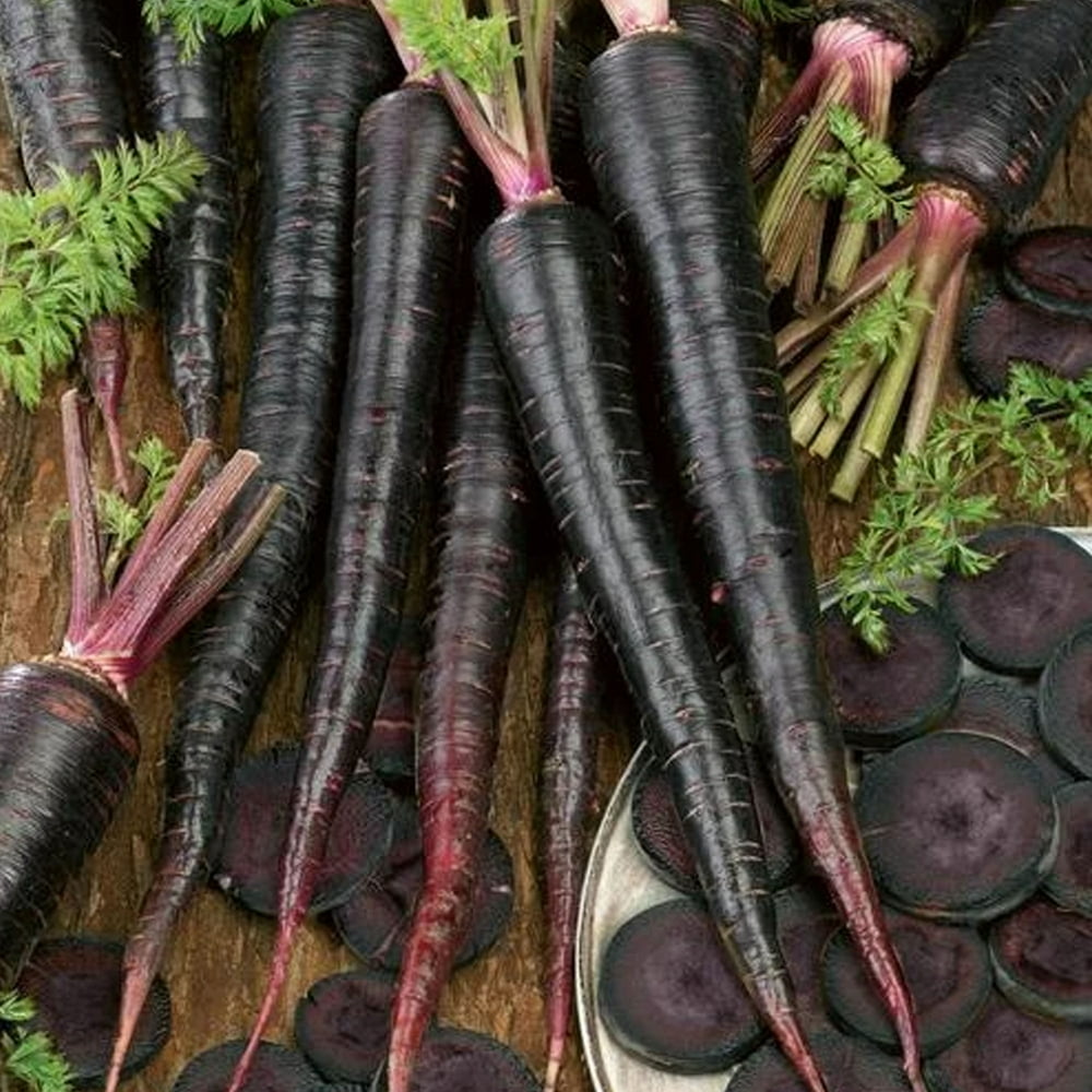 Black Nebula Carrot seed 1/4 LB 80,000 Seeds NonGMO Vegetable