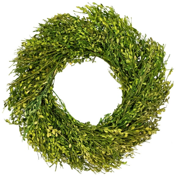Northlight Green Foliage Artificial Spring Wreath - 20' - Unlit