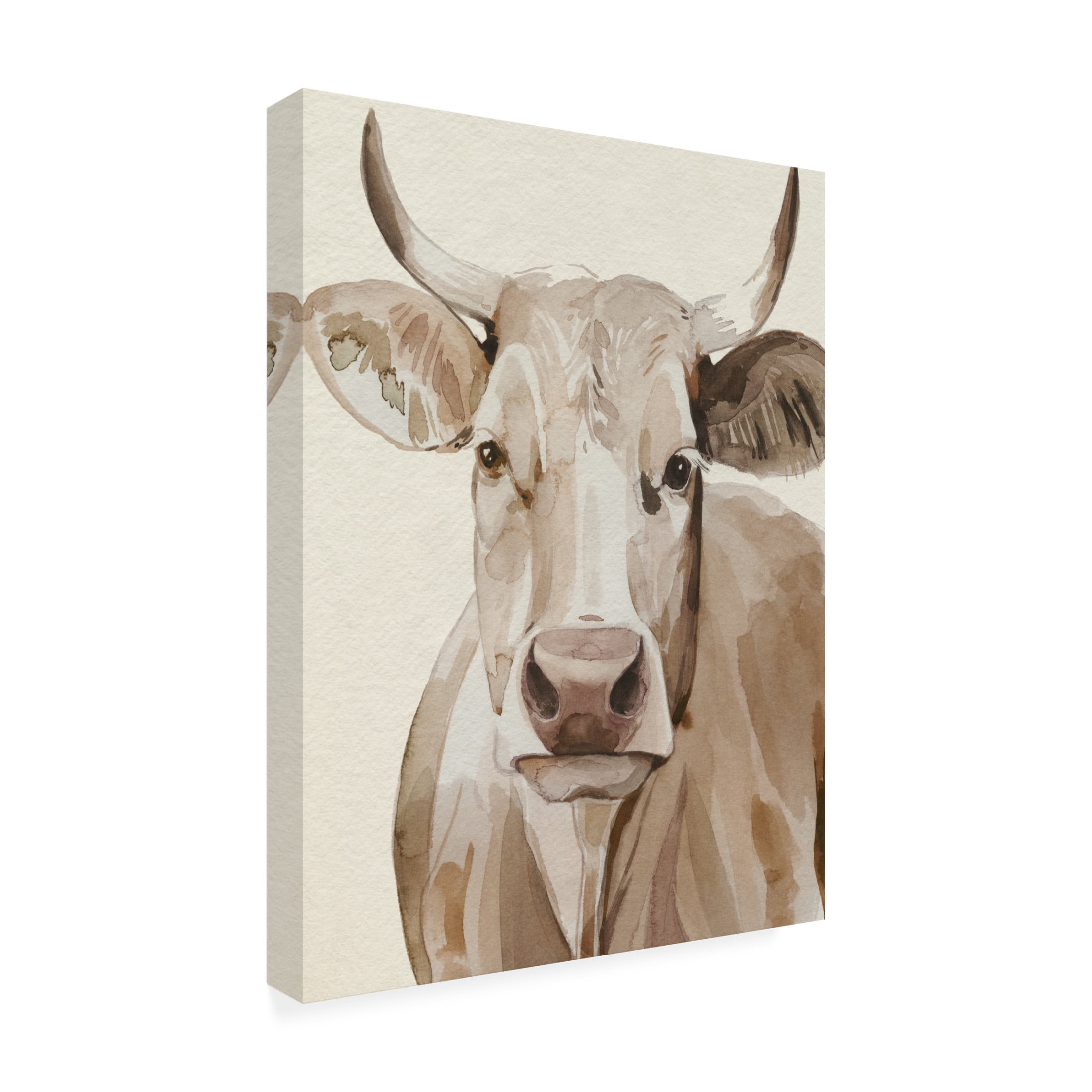 Trademark Fine Art Grace Popp Sepia Sweetie II Canvas Wall Art
