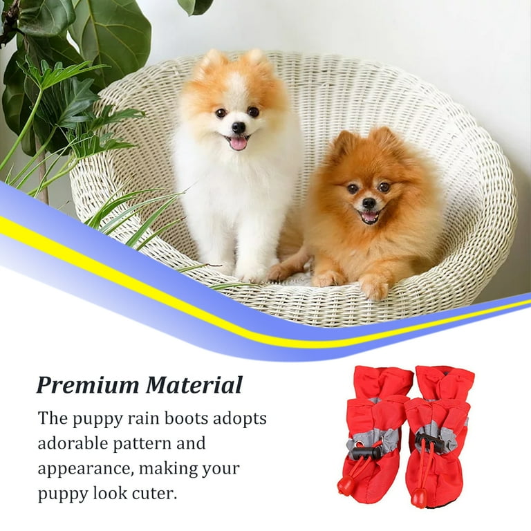 Big dog socks online