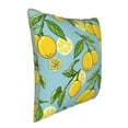 thumbnail image 2 of Kll Lemon Decorative Throw Pillow Covers Velvet Soft For Couch Sofa Bedroom Living Room Outdoor -20"X20", 2 of 8