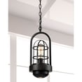 thumbnail image 2 of Dale Tiffany Lighting - Siskel - 6.6 Inch 6W 1 LED Mini Pendant with DownLight, 2 of 2