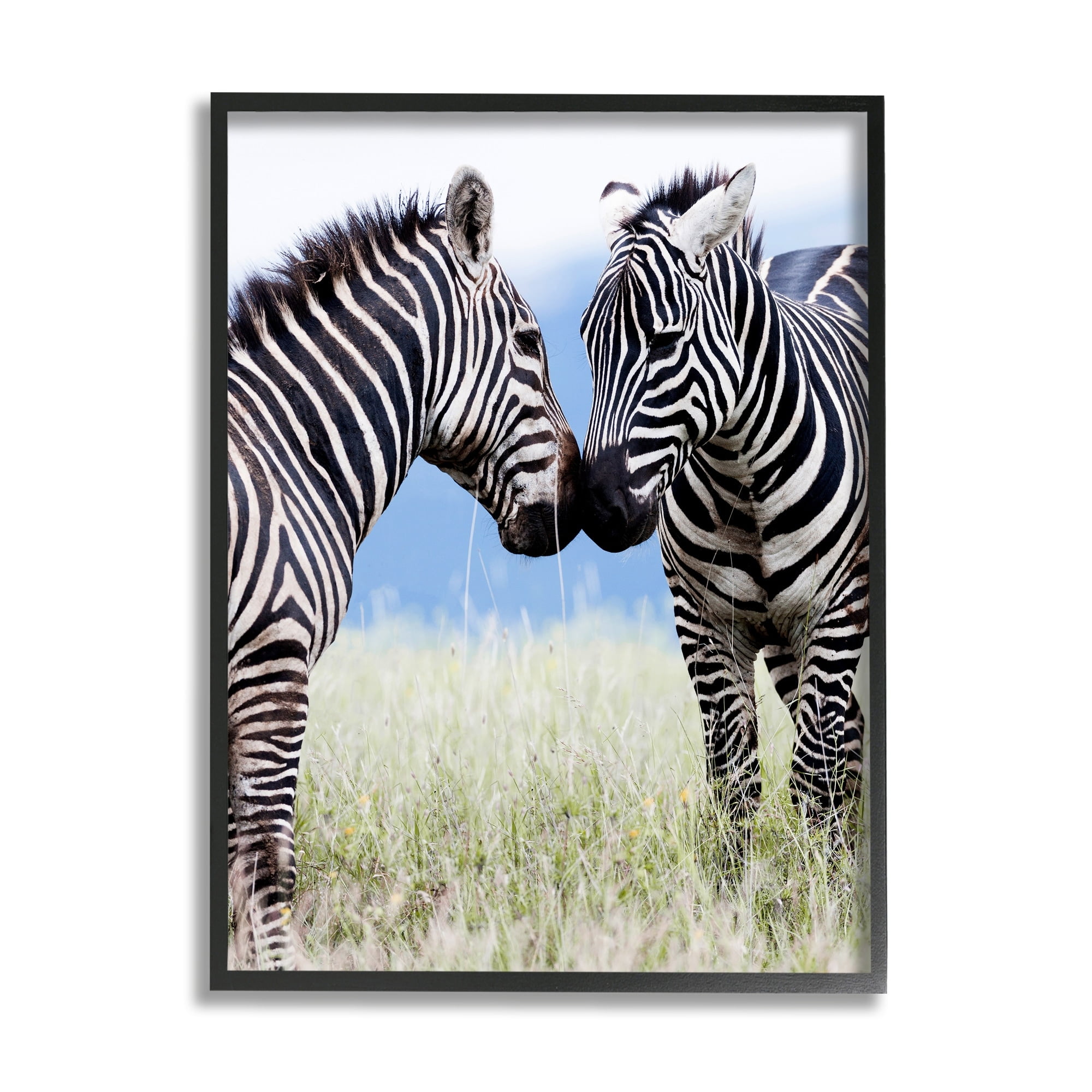 Stupell Industries Heartwarming Zebras Kissing in Field Animal Wildlife Photograph Gray Framed Art Print Wall Art, Design by Danita Delimont
