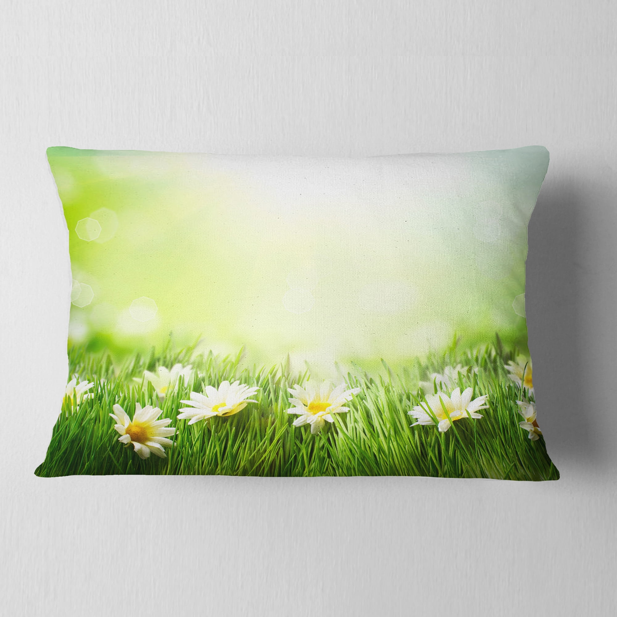 Designart Spring Meadow with Daisies - Animal Throw Pillow - 12x20