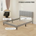 View all media