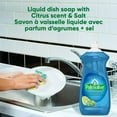thumbnail image 4 of Palmolive Essential Clean Liquid Dish Soap, Citrus Scent + Salt - 828 mL, Palmolive Essential Clean Citrus Scent + Salt, 4 of 5