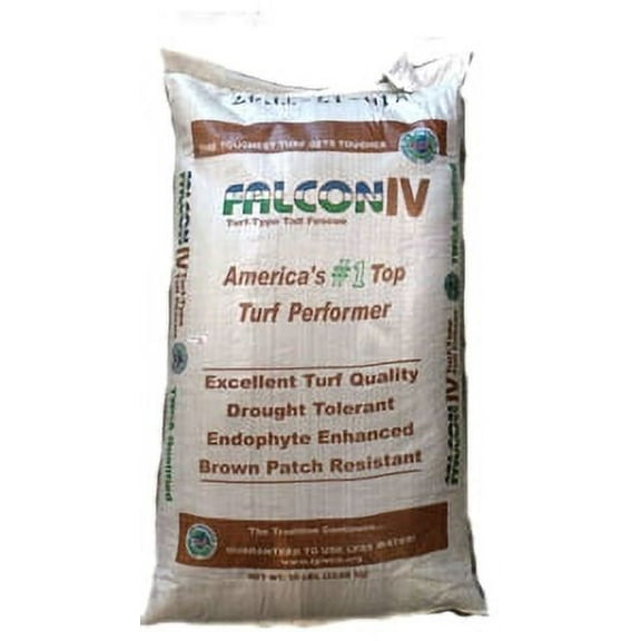 Falcon IV Turf Type Tall Fescue - 10 lbs.