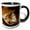 Black/White, variant on 3drose, Or, Portland, Pearl Distrct, Chinese Garden - Us38 Rca0022 - Rob Casey, 11oz Magic Transforming Mug