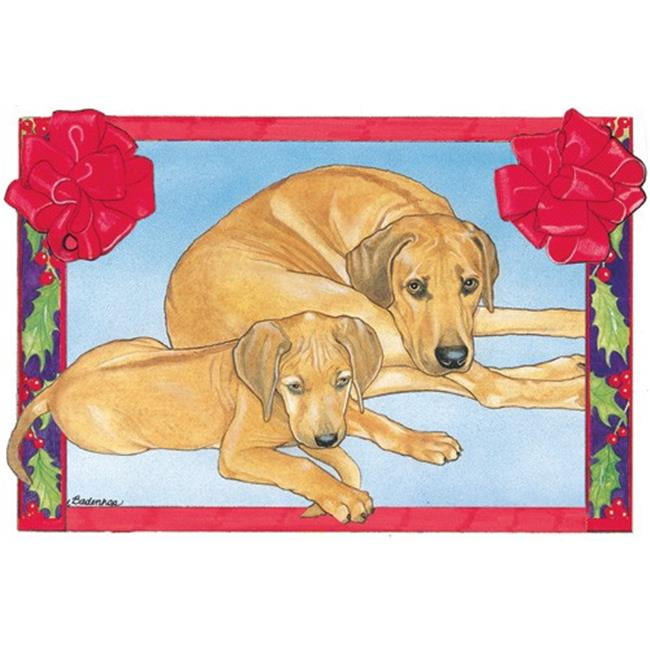 Holiday Boxed Cards- Rhodesian Ridgeback - Walmart.com