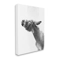 thumbnail image 4 of Stupell Industries Donkey Bathroom Splash Animals & Insects Painting Gallery Wrapped Canvas Art Print Wall Art, 30 x 40, 4 of 8