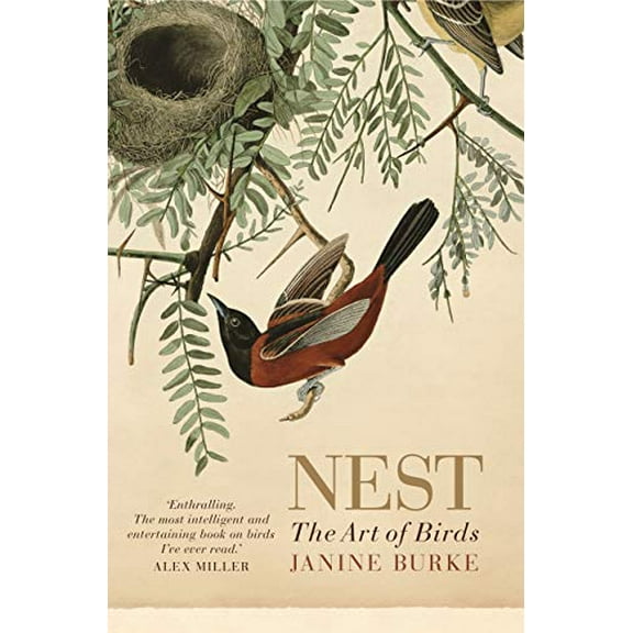Pre-Owned Nest: The art of birds (Paperback) 1760110892 9781760110895