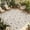 Light Beige Gray, variant on Beige Grey Baroque Outdoor Rug for Patio/Deck/Porch, Non-Slip Large Area Rug 5 x 7 Ft, Abstract Art Floral Pattern Indoor Outdoor Rugs Washable Area Rugs, Reversible Camping Rug Carpet Runner