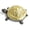 Gold, variant on Cast Iron Turtle Key Hider, Weatherproof Outdoor Hidden Key Box for Garden Yard Patio