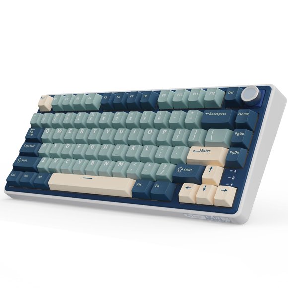 RK ROYAL KLUDGE R75 Wireless Mechanical Keyboard, 75% Percent Custom Gaming Keyboard Gasket Mount RGB Backlit with Knob & PBT Keycaps, BT5.1/2.4GHz/U