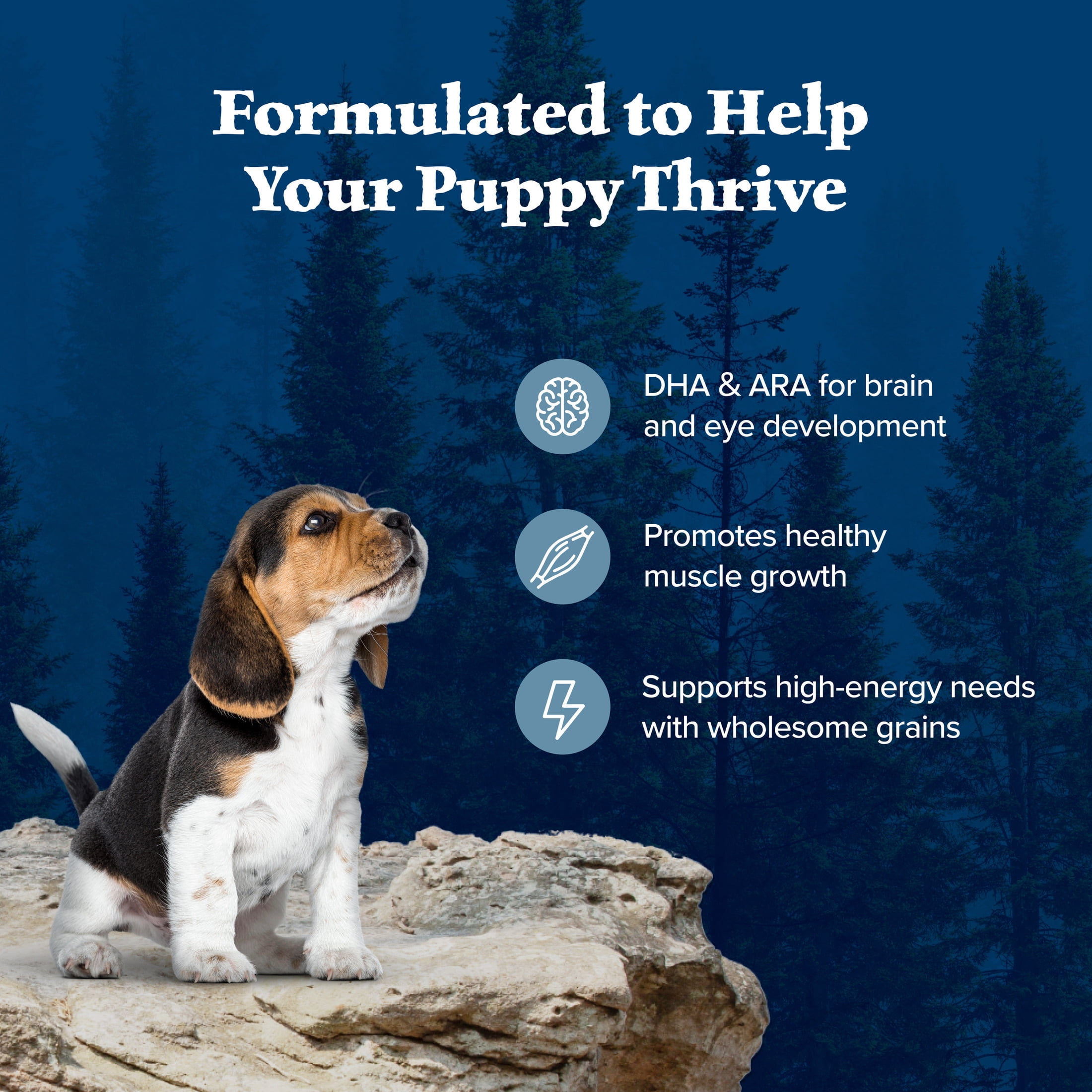 Blue Buffalo Wilderness High-Protein Natural Puppy Dry Food, Chicken Recipe, 4.5-lb. Bag