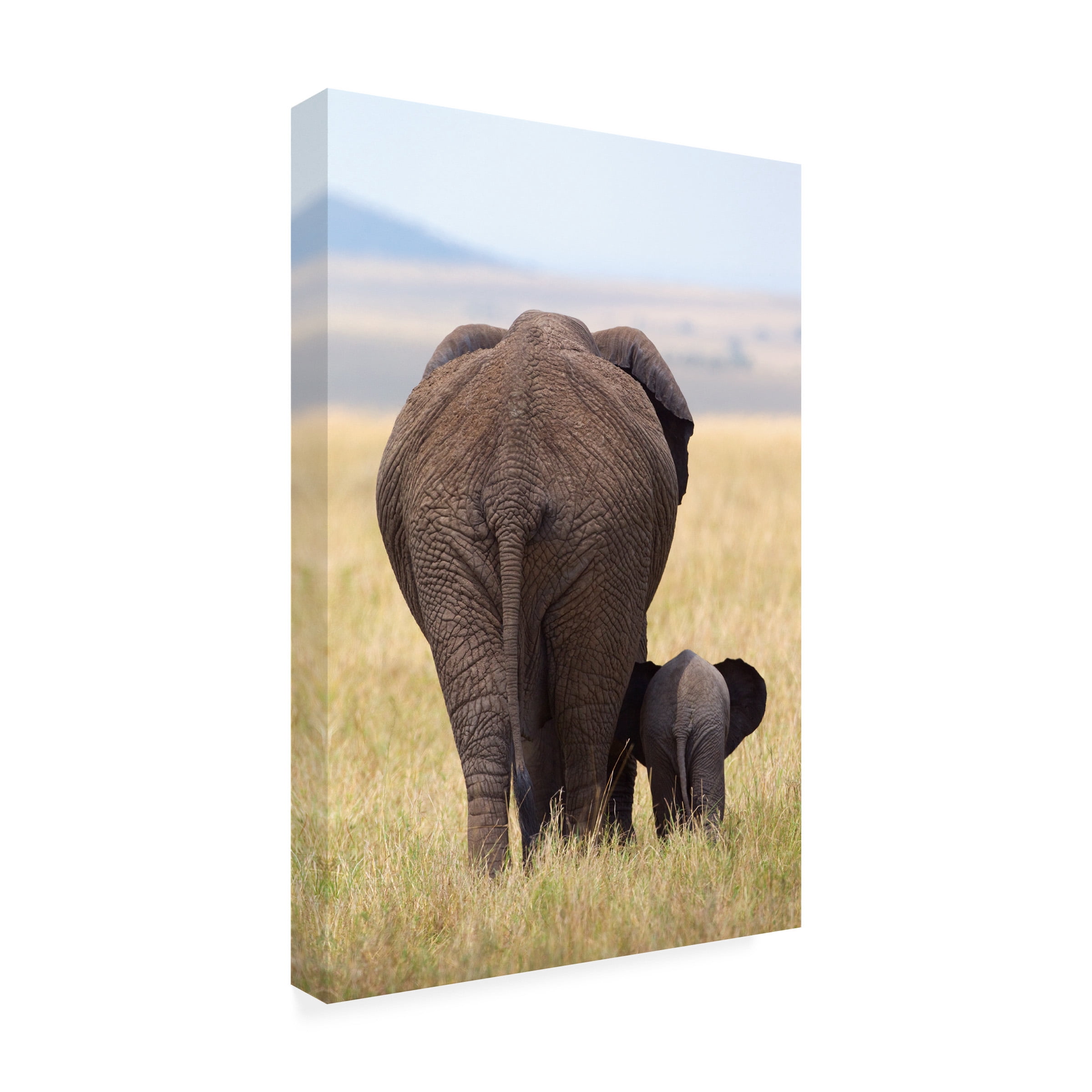 Alejandro Metzger 'Were Gone' Canvas Art