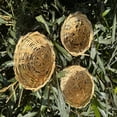 thumbnail image 4 of Hand Woven Bamboo Bird Nest,Bamboo Woven Bird Nest，Portable Cozy Birds Nest with Metal Hook,Country-Style Birds Cages Accessory for Canary Swallow,Durable Natural Bird Cage House(Camouflage,), 4 of 5