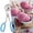 Blue, variant on Kitchen Food Clips None Stick Meatball Maker With Detachable Anti Slip Handles Stainless Steel Meat Tongs Cake Ice Tongs,Blue Kitchen Food Clips