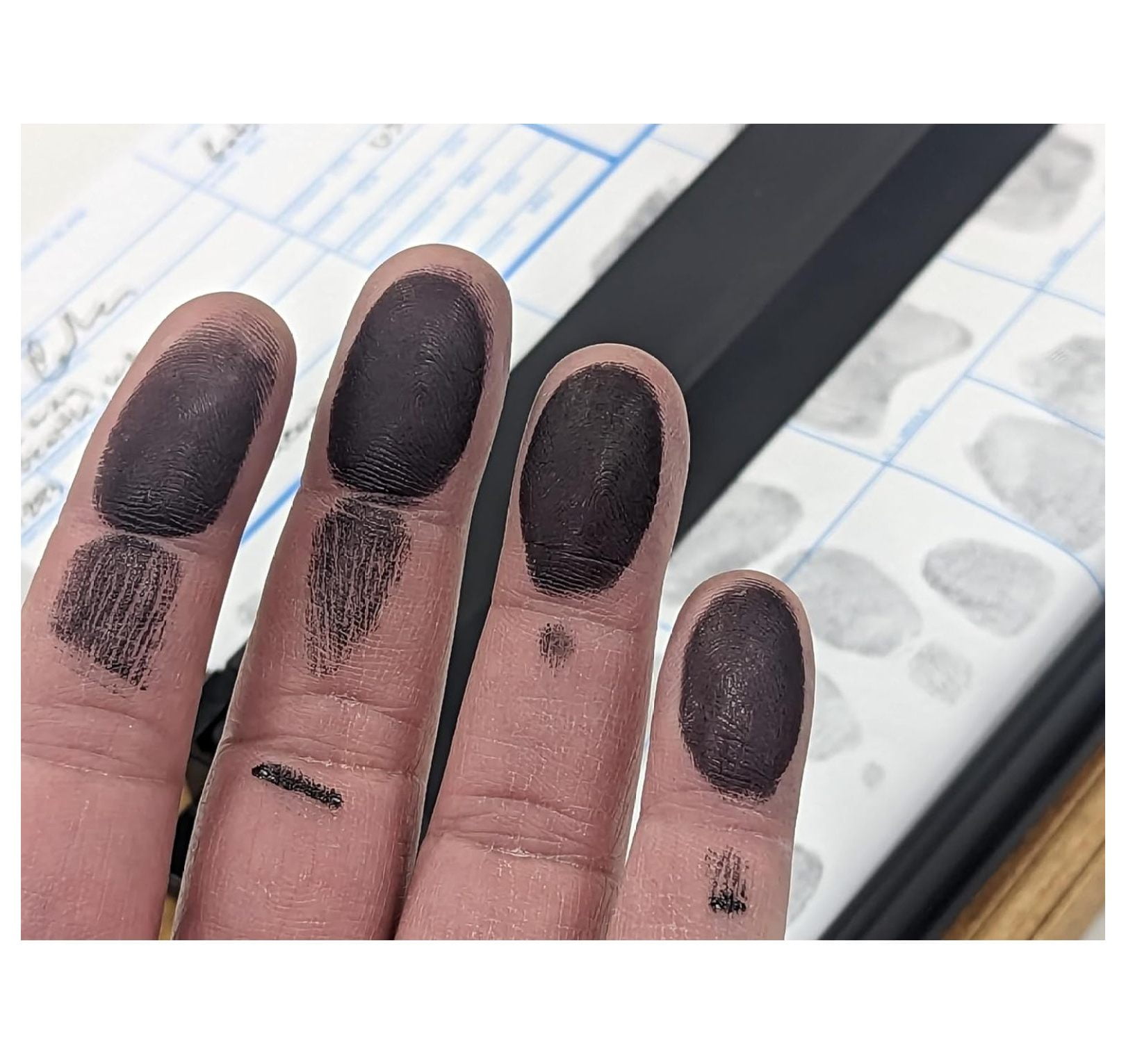 Bureau Fingerprint Pad, 5.25 x 2.75 inches - XL Size