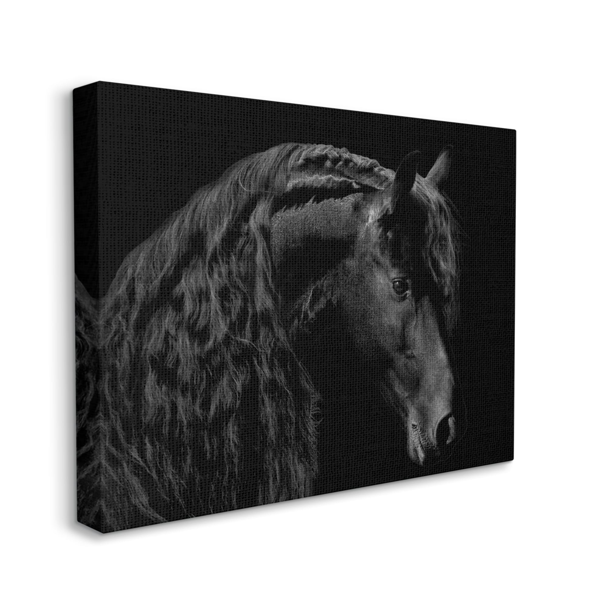 Stupell Industries Black Stallion Portrait Braided Horse Mane Modern Photography, 30 x 24,Design by Samantha Carter