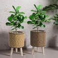 thumbnail image 7 of Moocorvic Rattan Indoor Plant Stand, Straw Woven Flowers Pot Holder Stool With Legs Floor Planter Baskets Rack Wooden Plant Shelf, 7 of 7