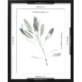 thumbnail image 4 of Art.com Simple Sage II Art Print by Emma Scarvey, Black Frame Wall Art, 17" x 21", 4 of 4
