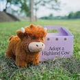 thumbnail image 3 of Adopt A Highland Cow Plush, Cute Cow Stuffed Animal Fluffy Cow Figure Toys, 3 of 5