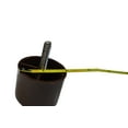 thumbnail image 3 of FR Brown Plastic Furniture Leg 1 1/2" Tall, 2" Diameter, 5/16" Hanger Bolt, Set of 4, 3 of 3