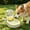 Green#2, variant on Pet Water Bottle Large Capacity Foldable Design Portable and Safe for Outdoor Use Hydration Solution for Dogs and Cats During Travel