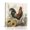 Brown, variant on Canvas Wall Art, Farm Rooster Framed Canvas Prints for Hallway Living Room, Farmhouse Sunflowers House Plants Leaves Extra Large Gallery Wrapped Wall Decor for Home Office, Gifts, 20"x30"
