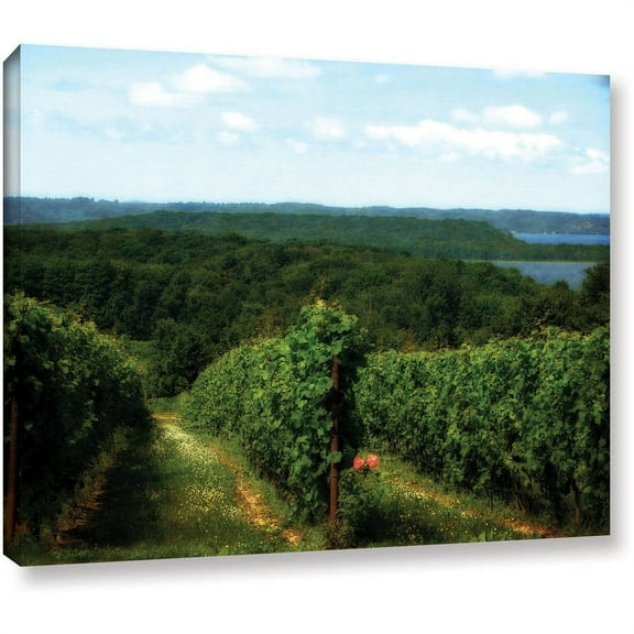 ArtWall Kevin Calkins "Vineyard on the Peninsula" Gallery-Wrapped Canvas