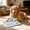 H, variant on Crinkle Newspaper Dog Chew Toy, Interactive Squeaky Paper-Style Toy, Durable Crinkle Fabric Toy for Dogs to Bite, Tear and Relieve Boredom