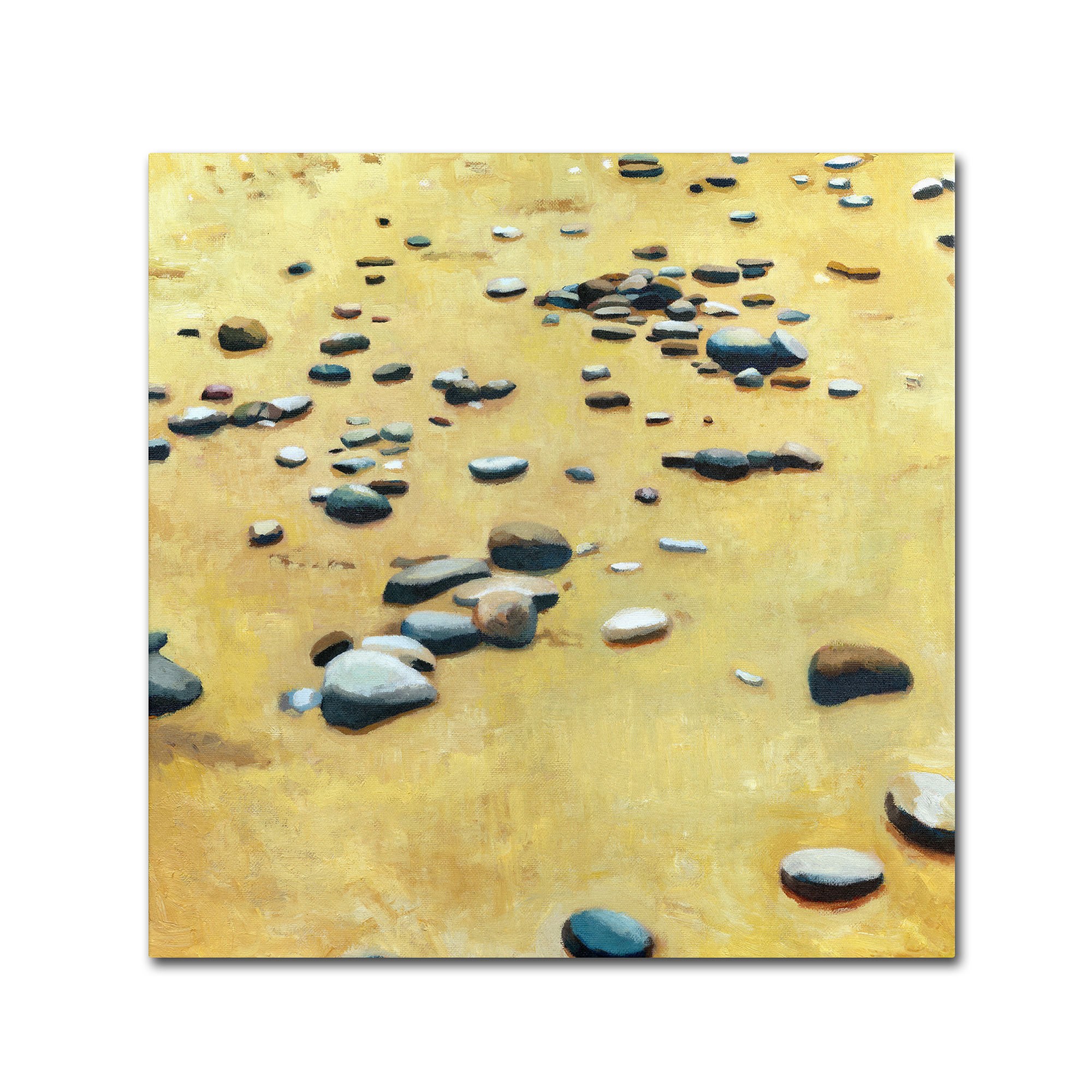Trademark Fine Art "Pebbles on the Beach" Canvas Art by Michelle Calkins