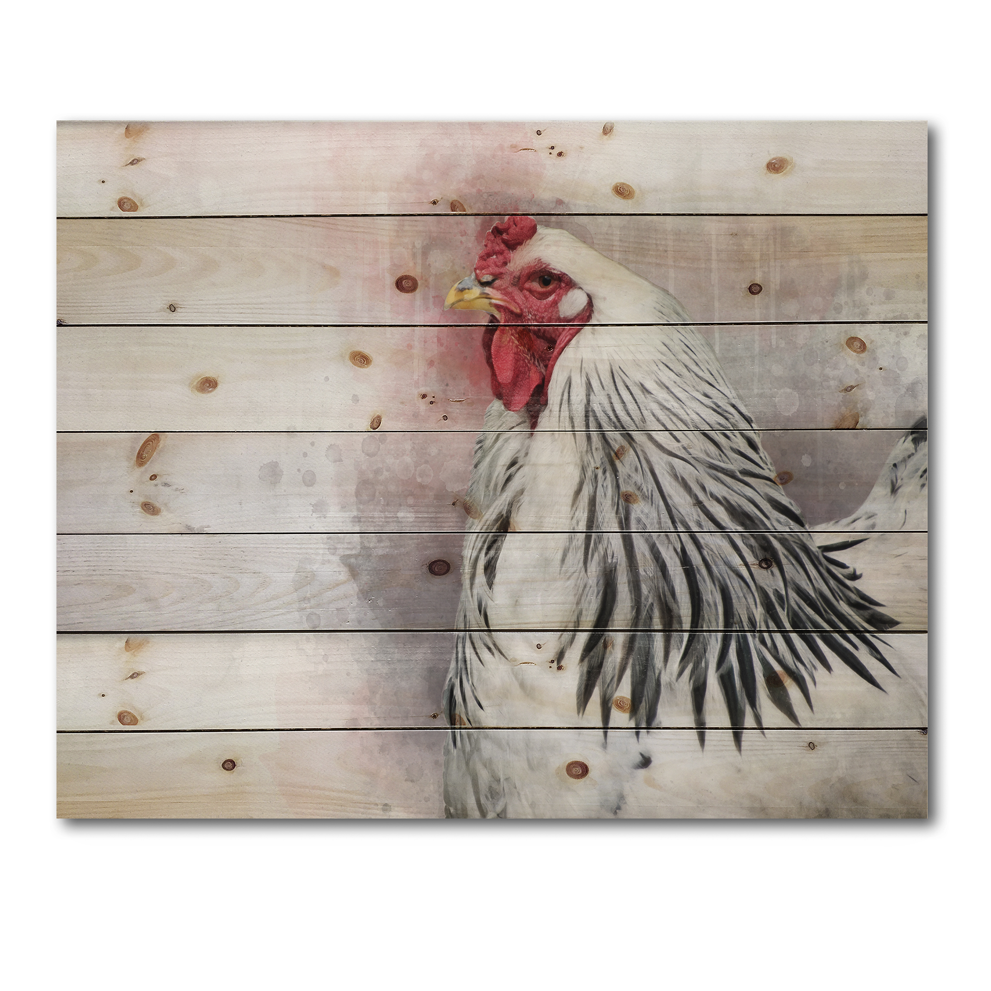 Designart 'Close Up Of White Columbia Brahma Rooster Bird' Traditional Print on Natural Pine Wood