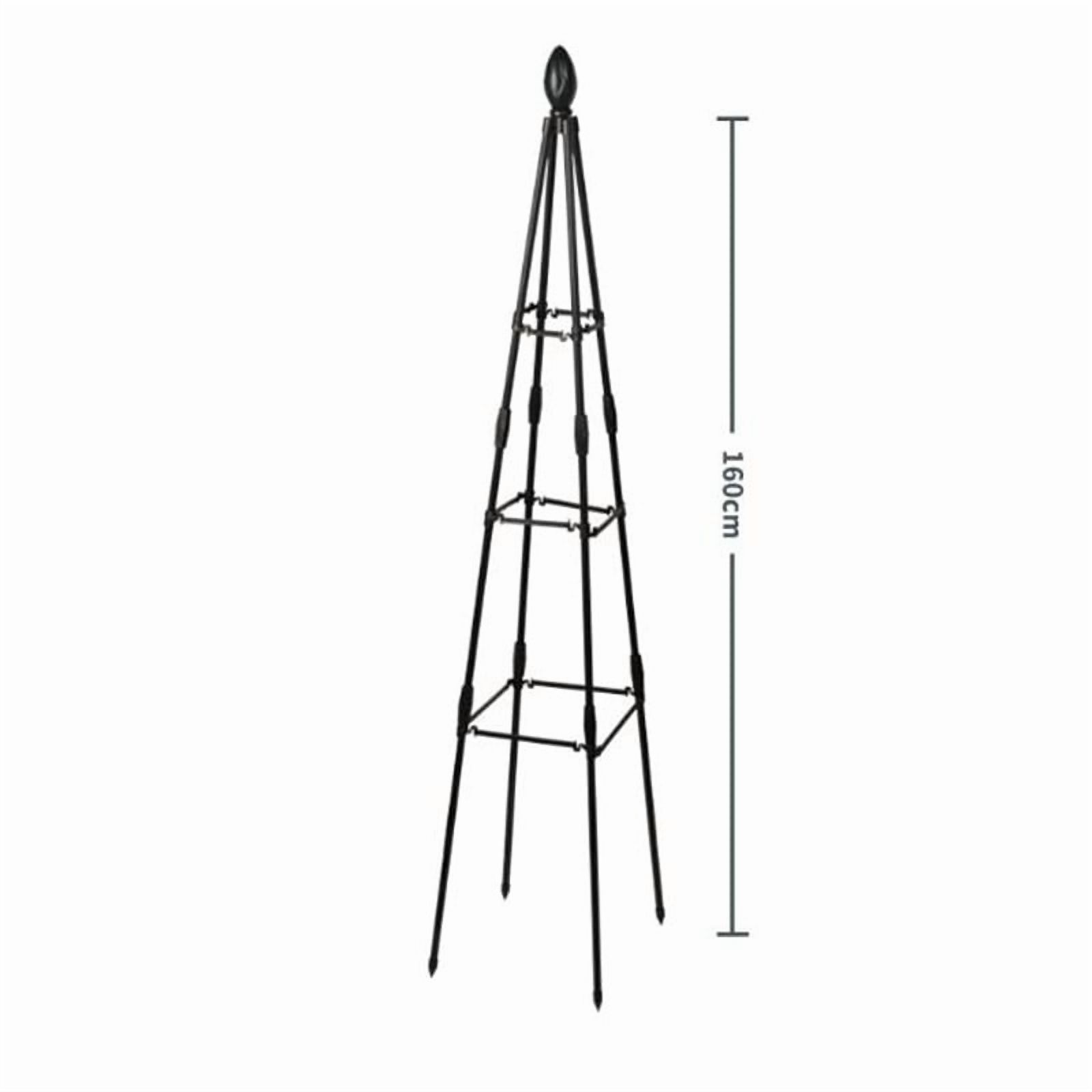RANME Garden Climbing Plant Bracket Flower Plant Support Bracket Black Height 160Cm