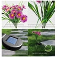 thumbnail image 3 of Las luces solares de crisantemo duran hasta 8-12H Regalo para familiares Amigos Madre, 3 of 7