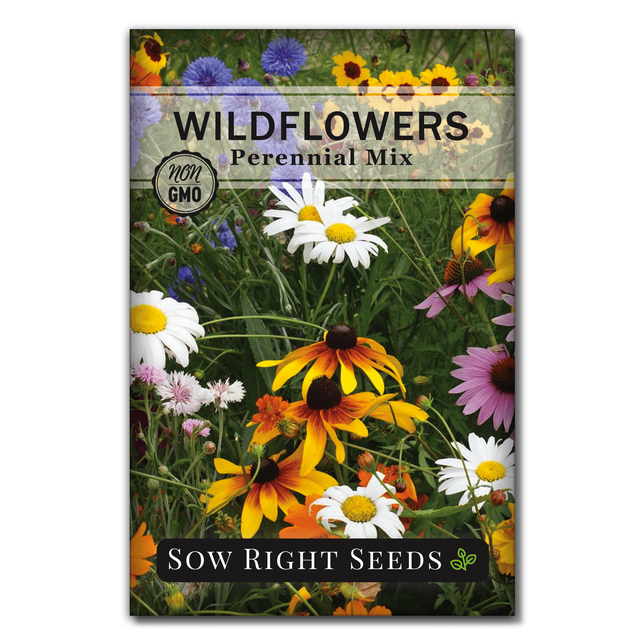 ALL ANNUAL Mix 20 Species Wildflowers Hummingbirds  Love Non-GMO 500 Seeds 