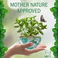 thumbnail image 2 of Minty Spider Repellent, Natural 5% Peppermint Oil Spray, Kills & Deters All Types of Spiders and Insects, Indoor and Outdoor Use, 128 fl oz Gallon, 2 of 6