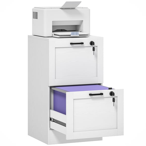 HOMCOM Classeur de Bureau avec 2 Tiroirs, Classeur Vertical, Blanc