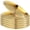 Gold, variant on Yvsxxv Stainless Steel Round Camping Plate, BBQ Picnic Tableware Plates, 6 Pcs