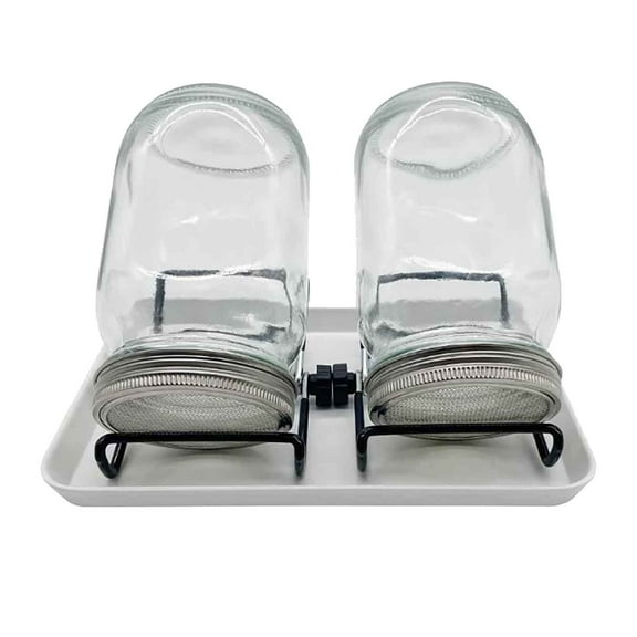 Seed Sprouting Jar Kit with 2 Wide Mouth Mason Jars Bean Sprouts Growing Kit Microgreens Growing Jar with Mesh Screen Lids Sprouter Sprouts Maker for Growing Broccoli, Alfalfa, Mung Bean