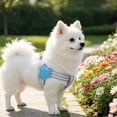 thumbnail image 3 of Adjustable Dog Harness Summer Mesh Breathable Pet Vest Soft No-Pull Comfortable Step-In Harness for Small Medium Dogs Cats Walking Training Camping, 3 of 5