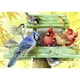 thumbnail image 1 of Wdftyju 5D DIY diamante pintura nido colorido pájaros completo taladro Animal arte imagen Kits Wdftyju 3ve7hq6lq1vm8xc0, 1 of 9