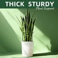 thumbnail image 6 of WLGJL 12 Pack Tall Snake Plant Support Stakes Half Round Peony Cages and Supports for Indoor and Outdoor Plants – Plant Cage Ring Support for Flower - Peony, Tomato, Hydrangea, 6 of 7