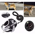 thumbnail image 1 of Arnés De Seguridad Reflectante Ajustable Para Perros Grandes, 1 of 7
