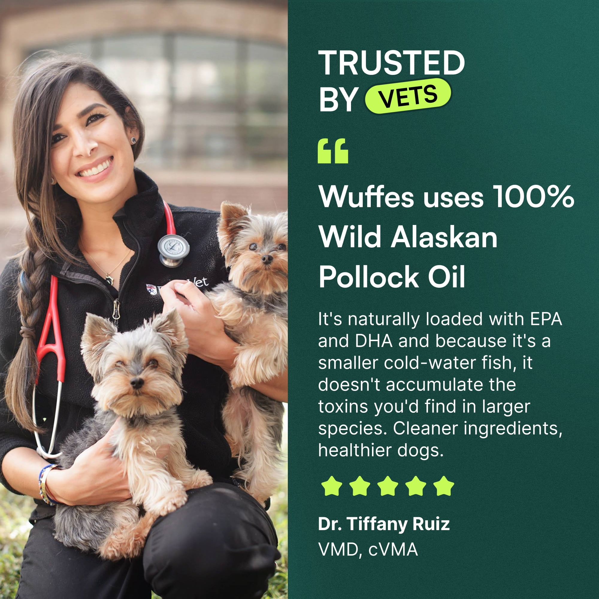 Wuffes Advanced Omega 3 Fish Oil for Dogs, Natural EPA & DHA Fatty Acids, Supports Healthy Skin and Coat, Joint Nutrition, Digestion & Immune System - 100% Pure Wild Alaskan Fish Oil, 16 Oz